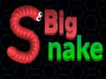 遊戲Big Snake