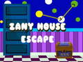 遊戲Zany House Escape