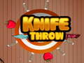 遊戲Knife Throw