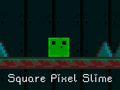 遊戲Square Pixel Slime