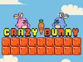 遊戲Crazy Bunny