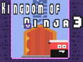 遊戲Kingdom of Ninja 3
