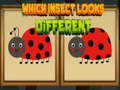 遊戲Which Insect Looks Different