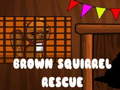 遊戲Brown Squirrel Rescue