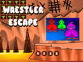 遊戲Wrestler Escape