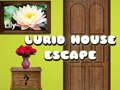 遊戲Lurid House Escape