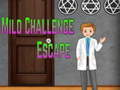 遊戲Amgel Mild Challenge Escape