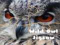 遊戲Wild owl Jigsaw