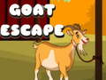 遊戲Goat Escape