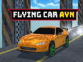 遊戲Flying Car Ayn