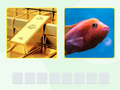遊戲Picword