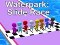 遊戲Waterpark: Slide Race