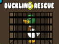 遊戲Duckling Rescue