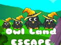 遊戲Owl Land Escape