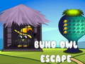遊戲Buho Owl Escape