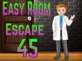 遊戲Amgel Easy Room Escape 45