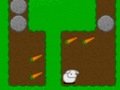 遊戲24 Carrots