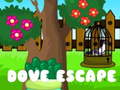 遊戲Dove Escape