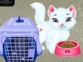 遊戲Baby Taylor Pet Care
