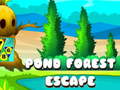 遊戲Pond Forest Escape