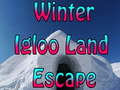 遊戲Winter Igloo Land Escape 