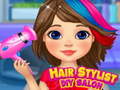 遊戲Hair Stylist DIY Salon