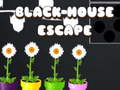 遊戲Black House Escape