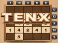 遊戲TENX