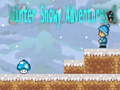 遊戲Winter Snowy Adventures 1