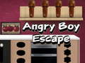 遊戲Angry Boy Escape