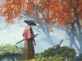 遊戲Samurai Reflexion
