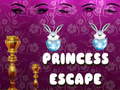 遊戲Princess Escape