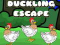 遊戲Duckling Escape