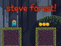遊戲Steve Forest