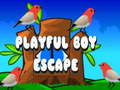 遊戲Playful Boy Escape
