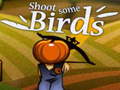 遊戲Shoot Some Birds