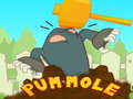 遊戲Pum-Mole