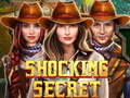 遊戲Shocking Secret