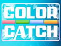 遊戲Color Catch