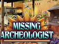 遊戲Missing Archeologist