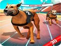 遊戲Crazy Dog Race