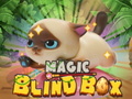 遊戲Magic Blind Box