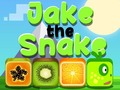 遊戲Jake The Snake