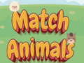遊戲Match Animals