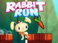 遊戲Rabbit Run