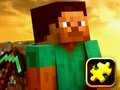 遊戲Minecraft Puzzle Time