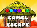 遊戲Camel Escape