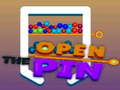 遊戲Open the Pin