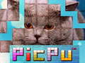 遊戲PicPu Cat 