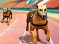遊戲Dogs3D Races